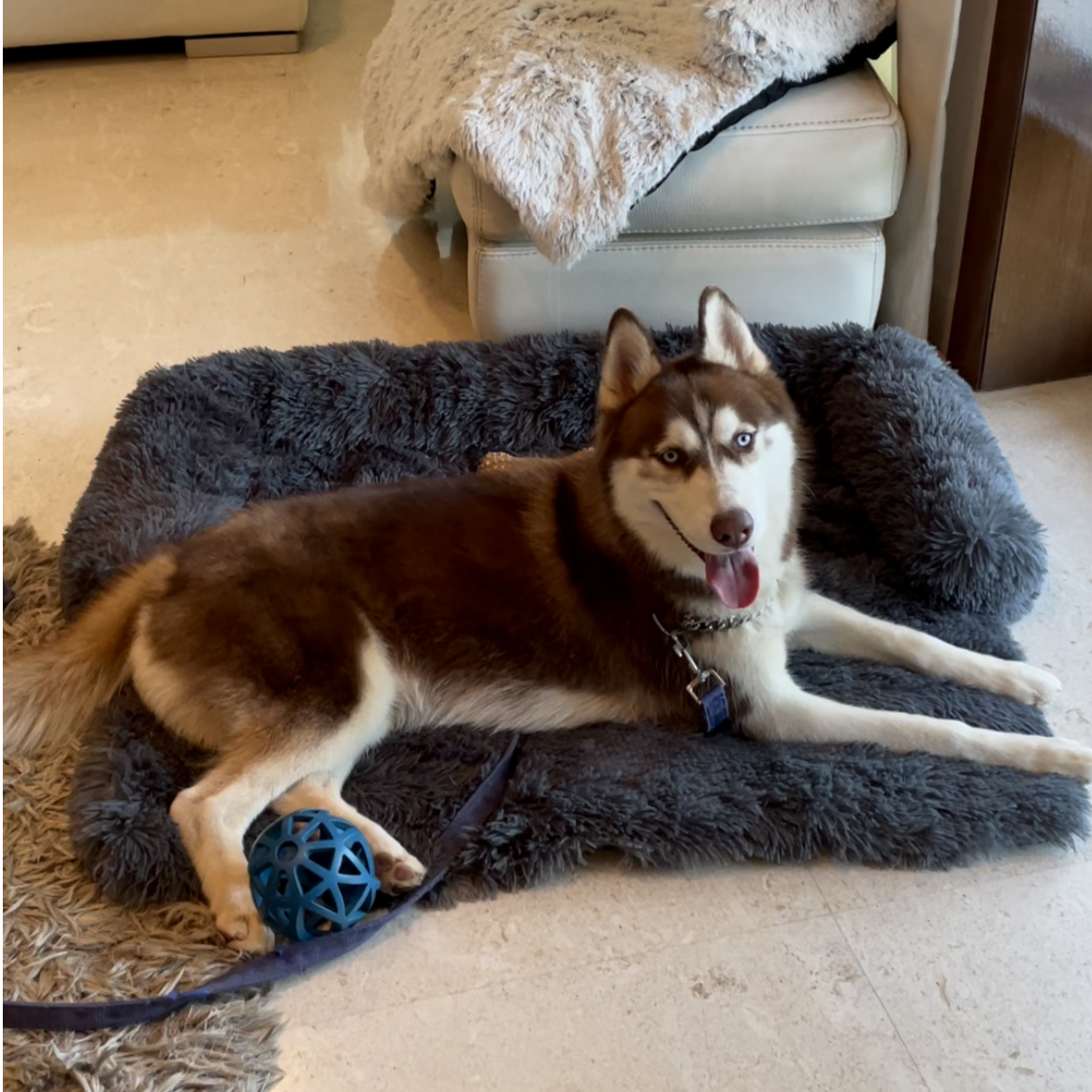 #style_dog-beds-for-large-breeds