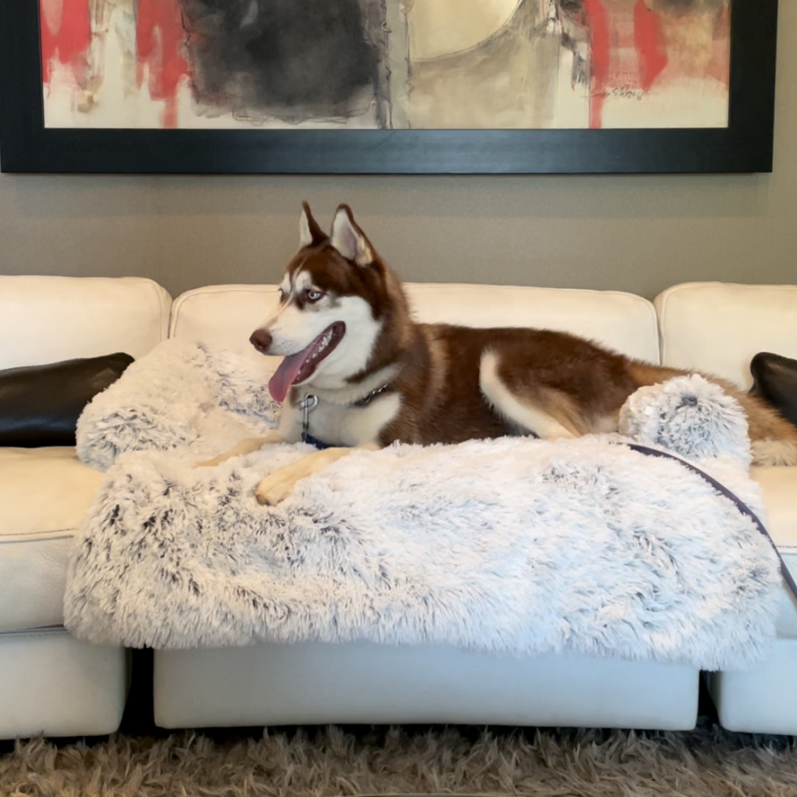#style_dog-beds-for-large-breeds