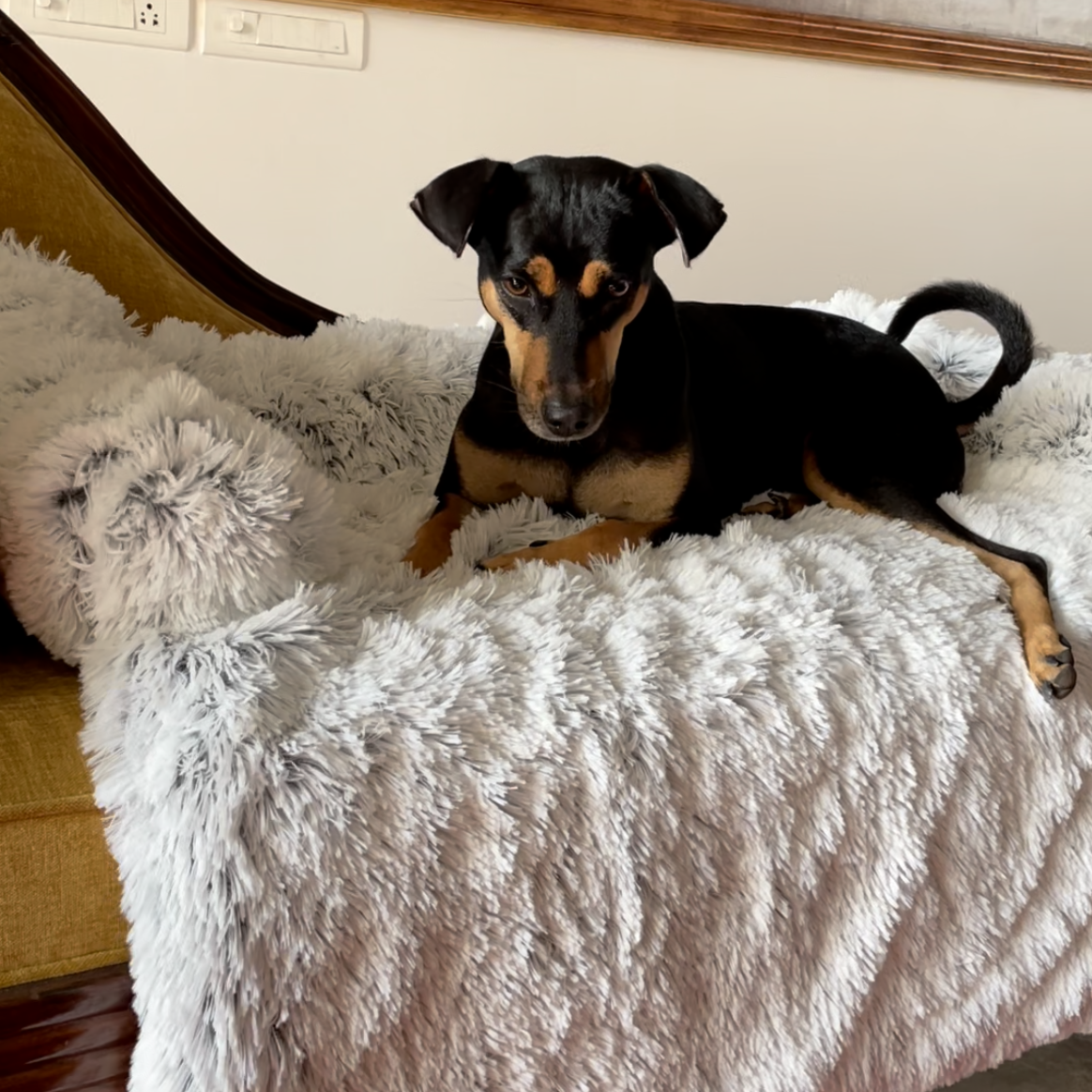 #style_dog-beds-for-large-breeds