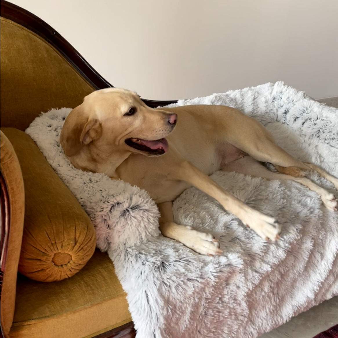 #style_dog-beds-for-large-breeds
