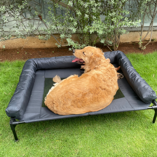 #style_dog-beds