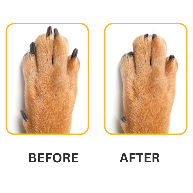 dog nail clipper