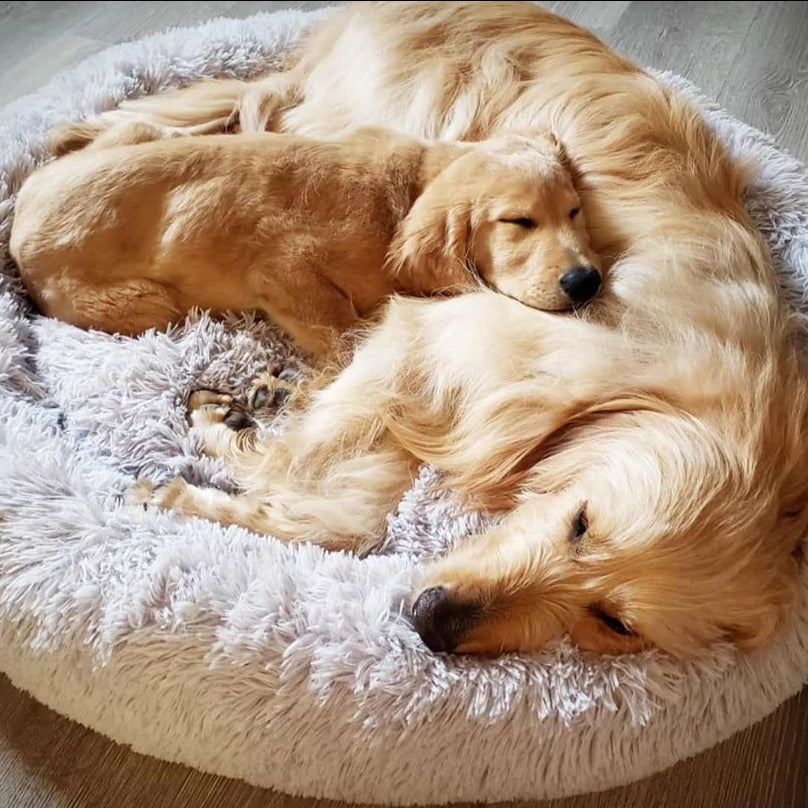 Cama calmante para discount perros