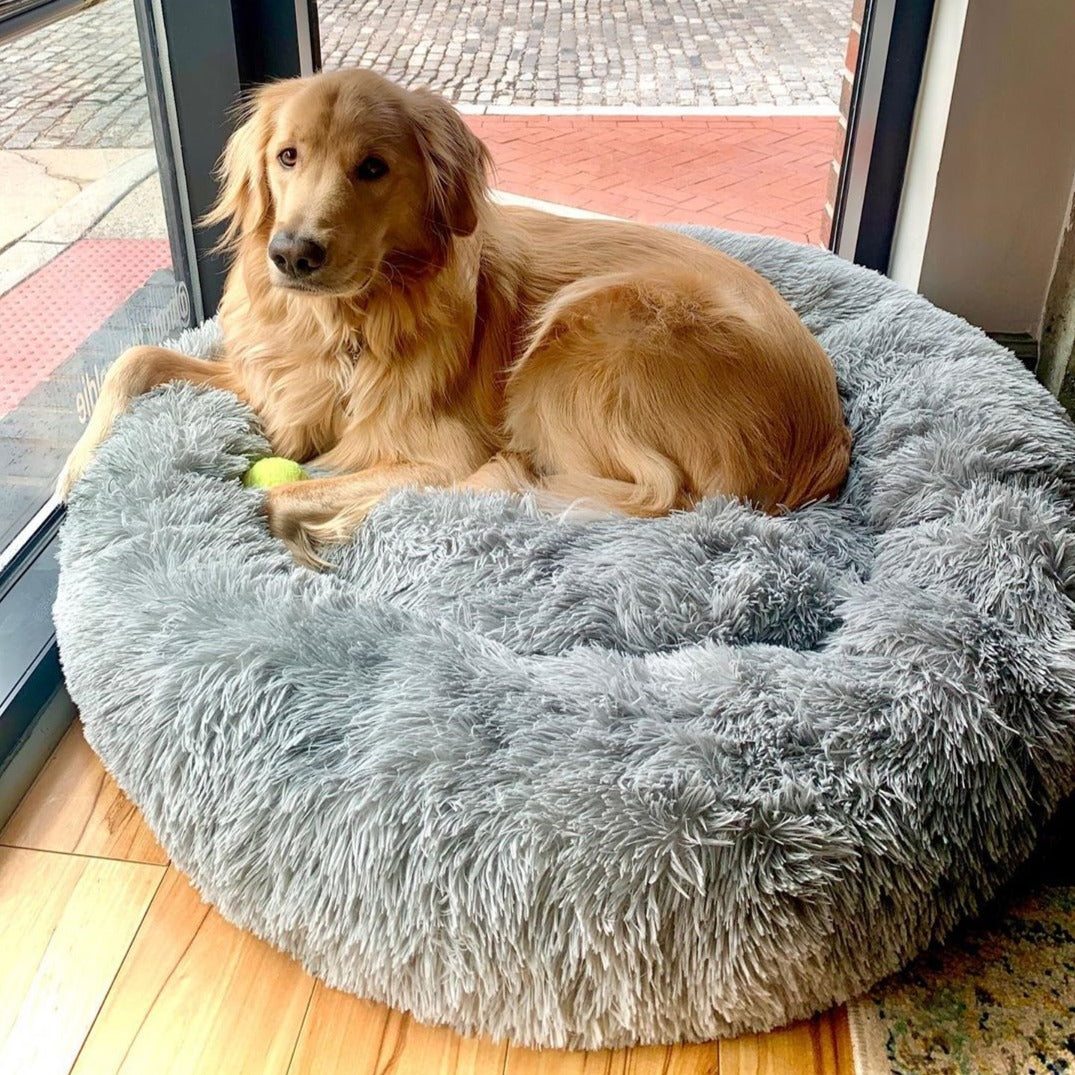 Calming hot sale bed dog