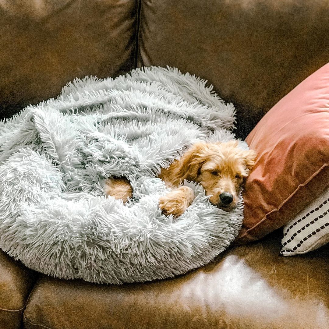 Vegan fur pet outlet bed