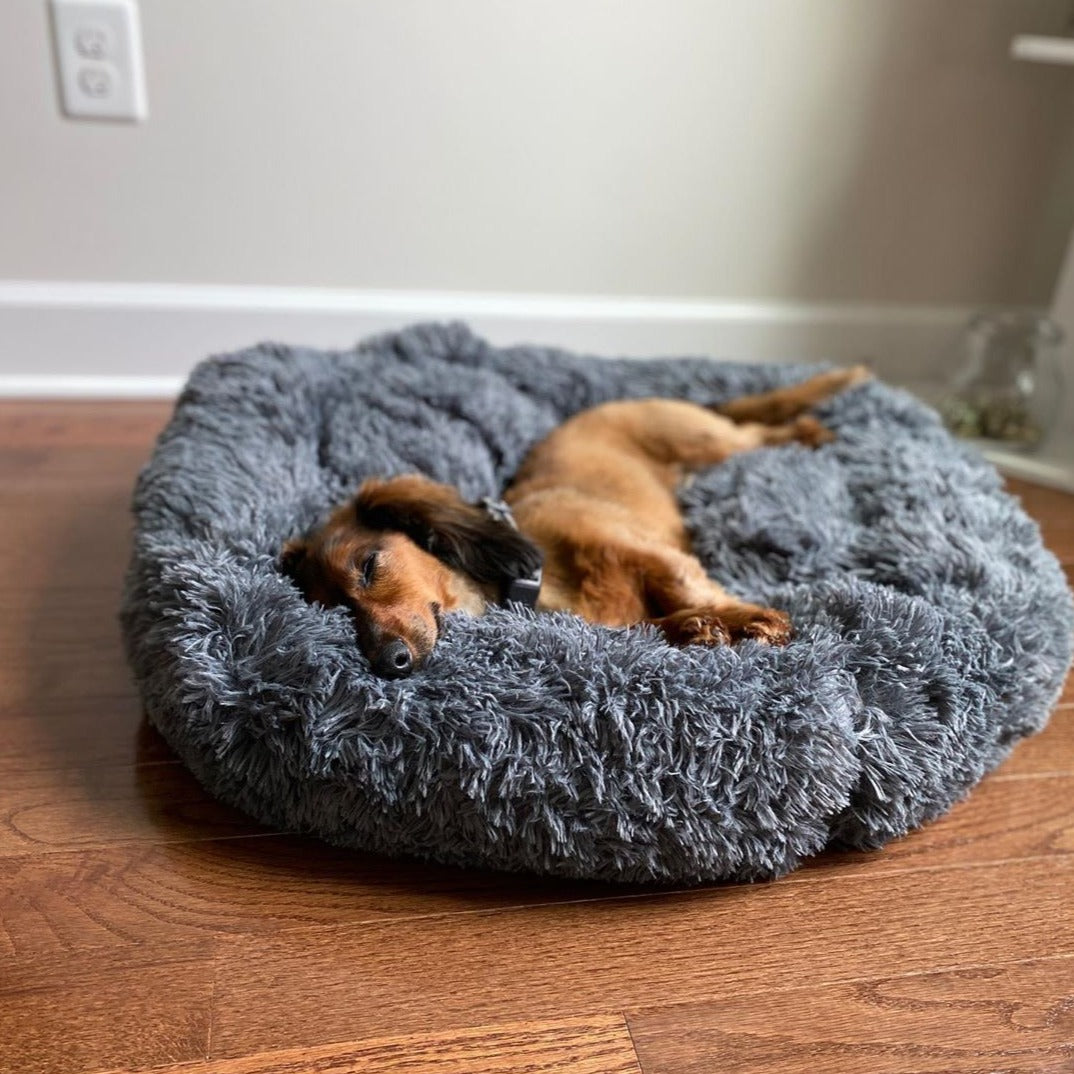 Absolute shop pet bed