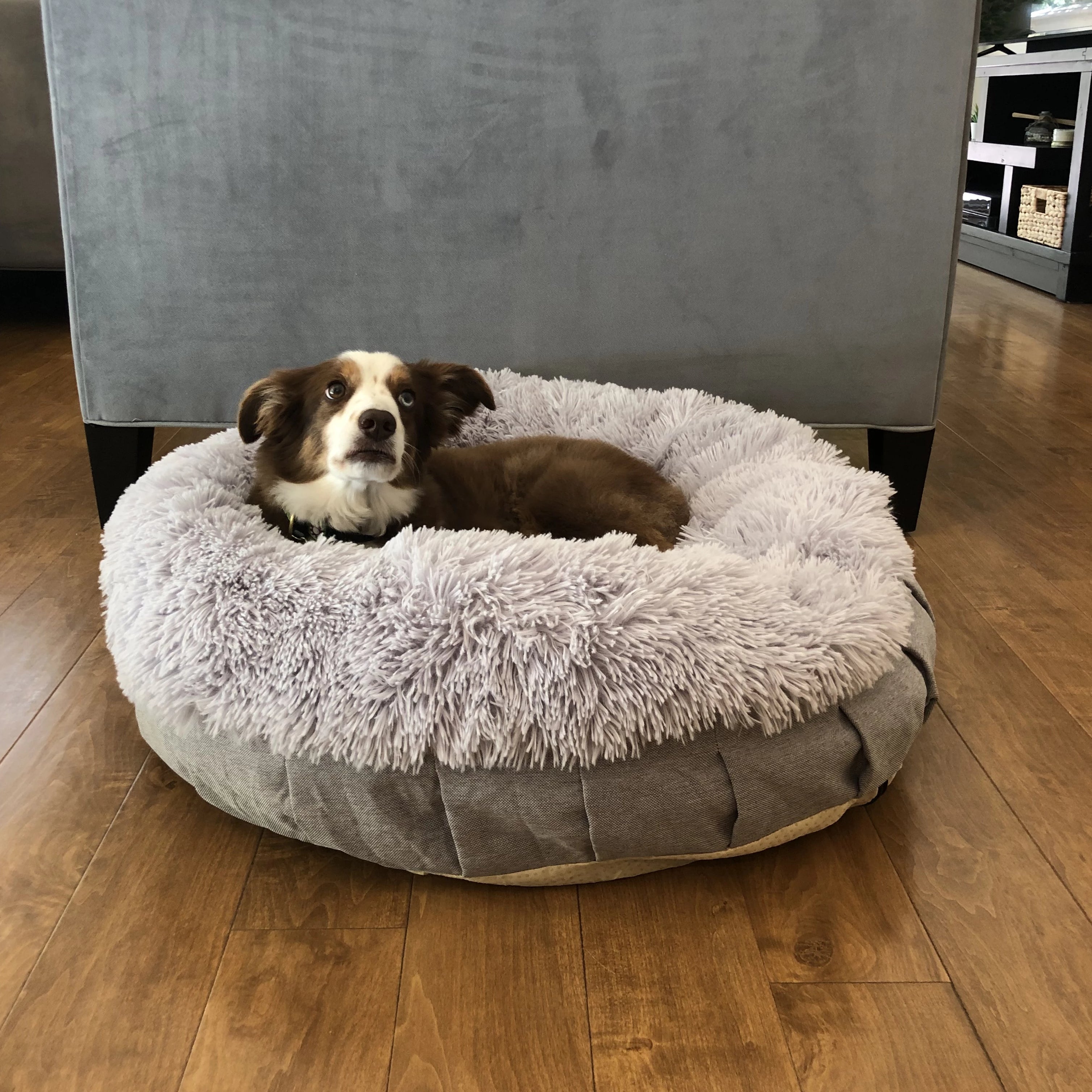 Absolute pet shop soothing bed